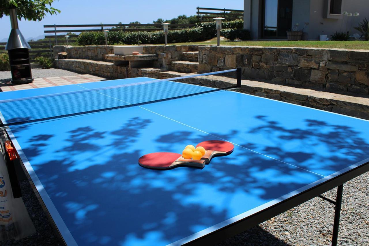Arion Krini Villa Amnátos エクステリア 写真