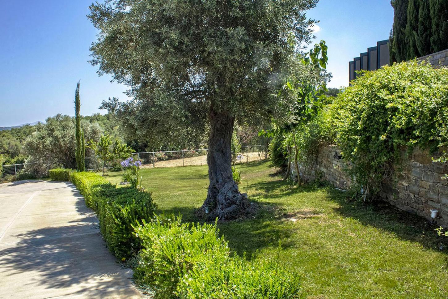 Arion Krini Villa Amnátos エクステリア 写真