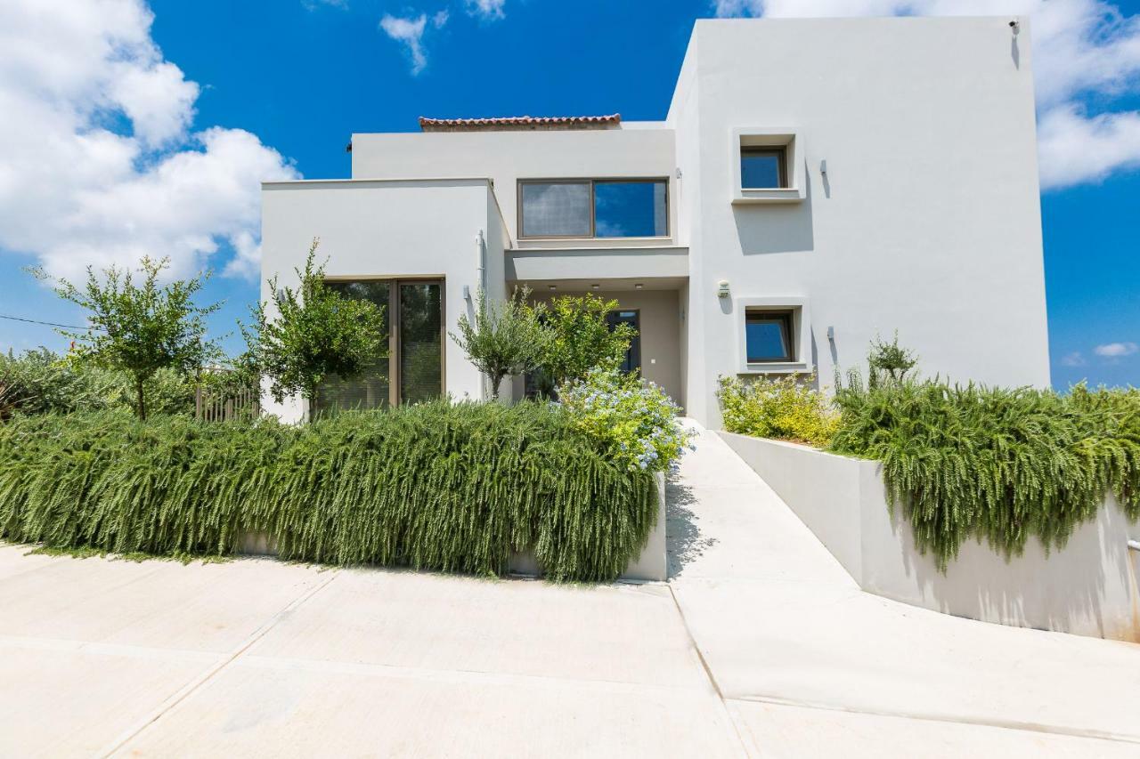 Arion Krini Villa Amnátos エクステリア 写真