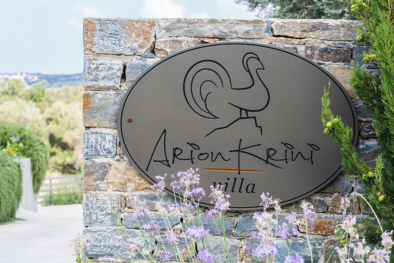 Arion Krini Villa Amnátos エクステリア 写真