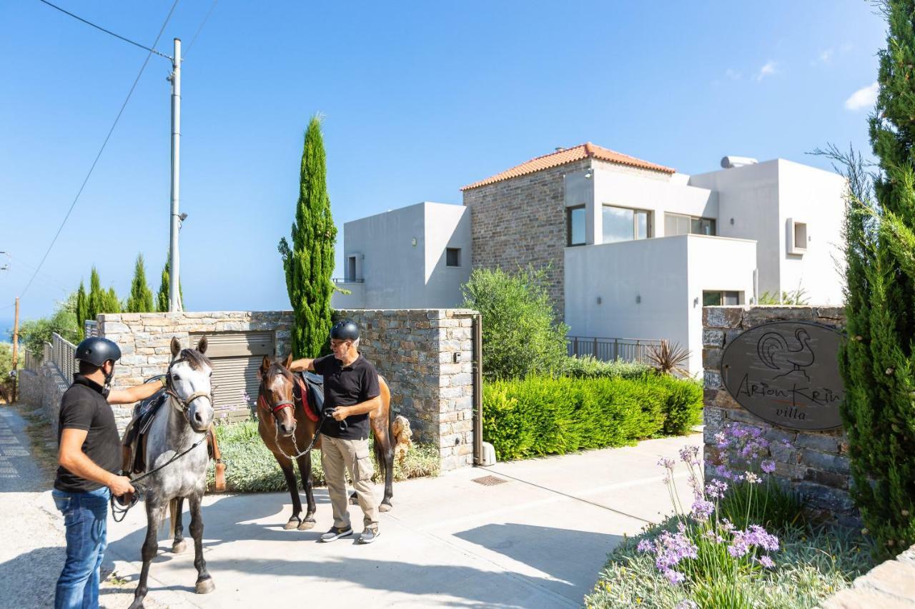 Arion Krini Villa Amnátos エクステリア 写真
